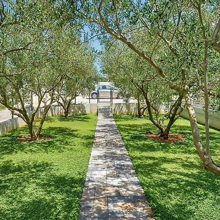 Tuta Holiday home *